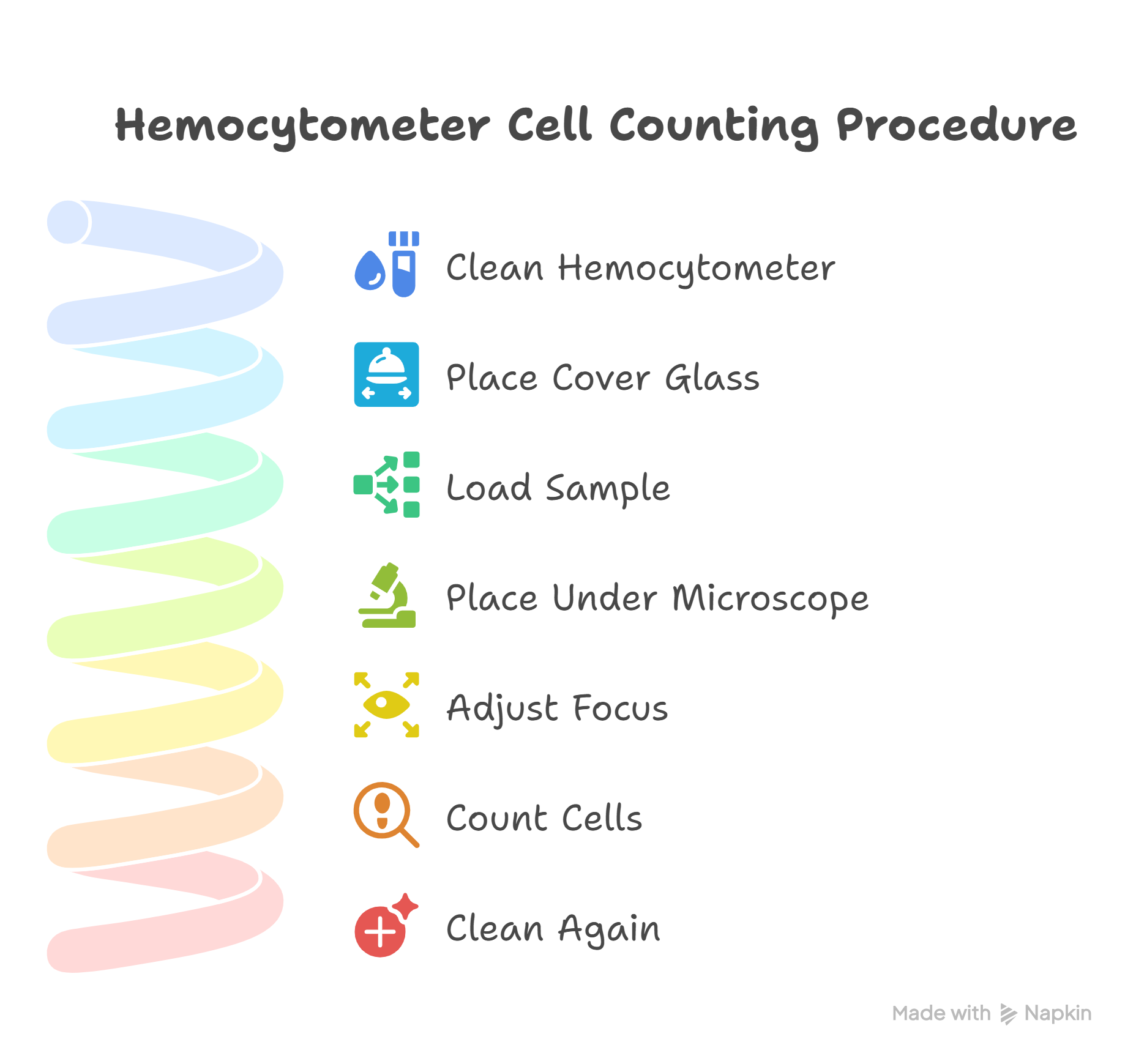 Hemocytometer Procedure Diagram