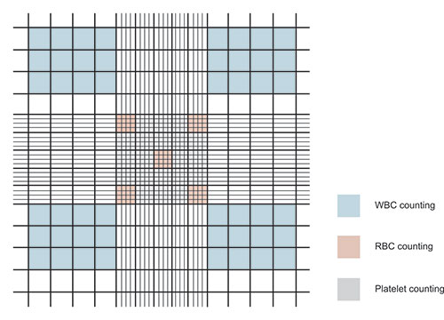 Neubauer’s Chamber
